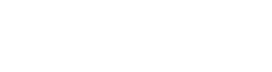 Web Burgenland Logo